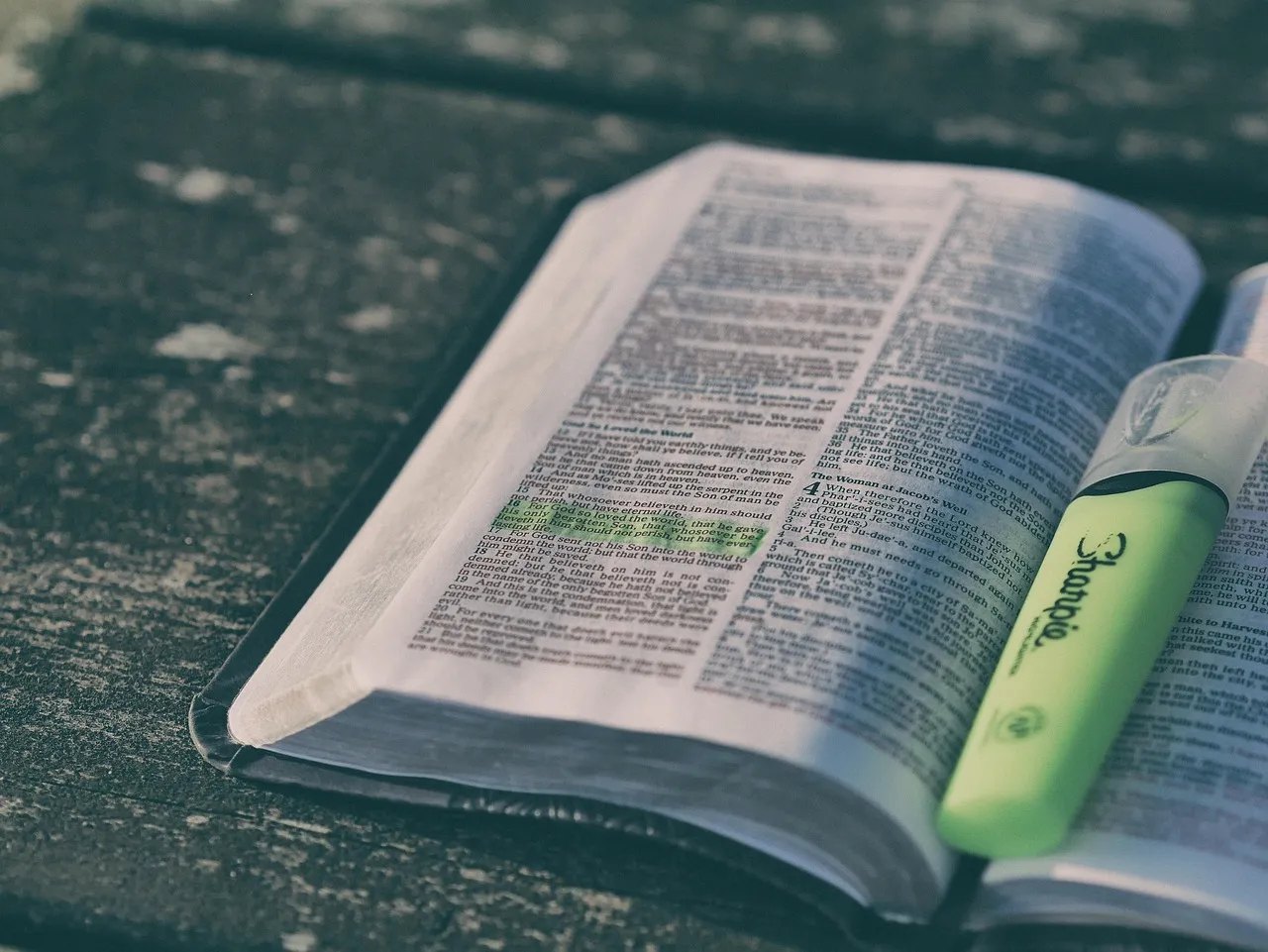 god's plans for your future god's plans for your future