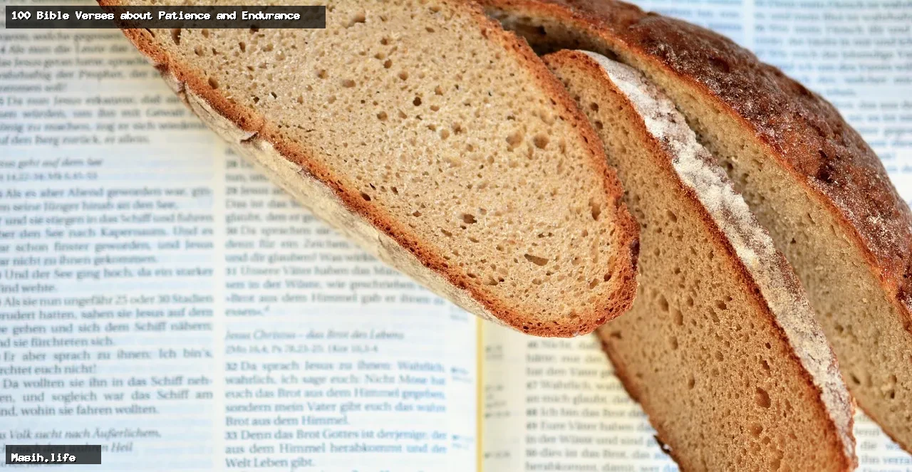 100 bible verses about patience and endurance 100 bible verses about patience and endurance