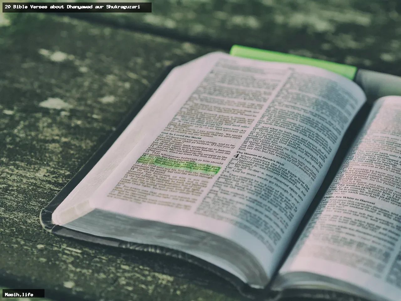 20 bible verses about dhanyawad aur shukraguzari 20 bible verses about dhanyawad aur shukraguzari