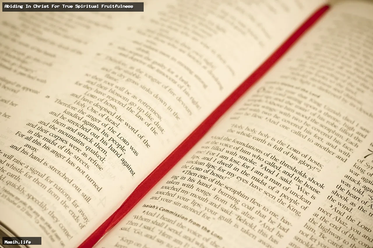 abiding in christ for true spiritual fruitfulness abiding in christ for true spiritual fruitfulness