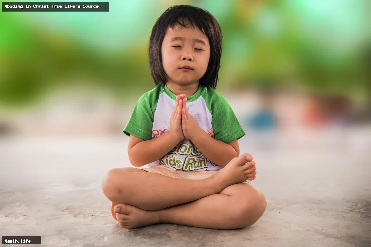 abiding in christ true life's source abiding in christ true life's source