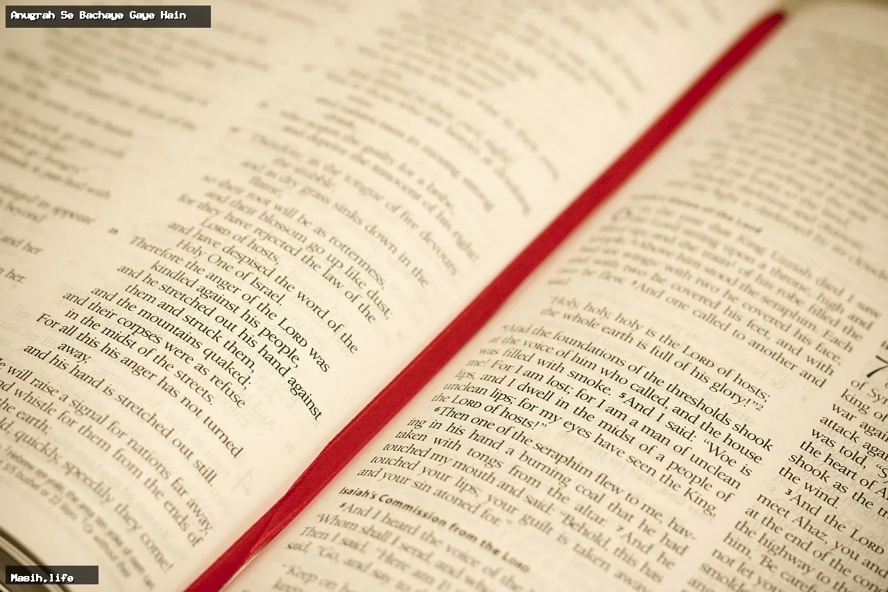 anugrah se bachaye gaye hain anugrah se bachaye gaye hain