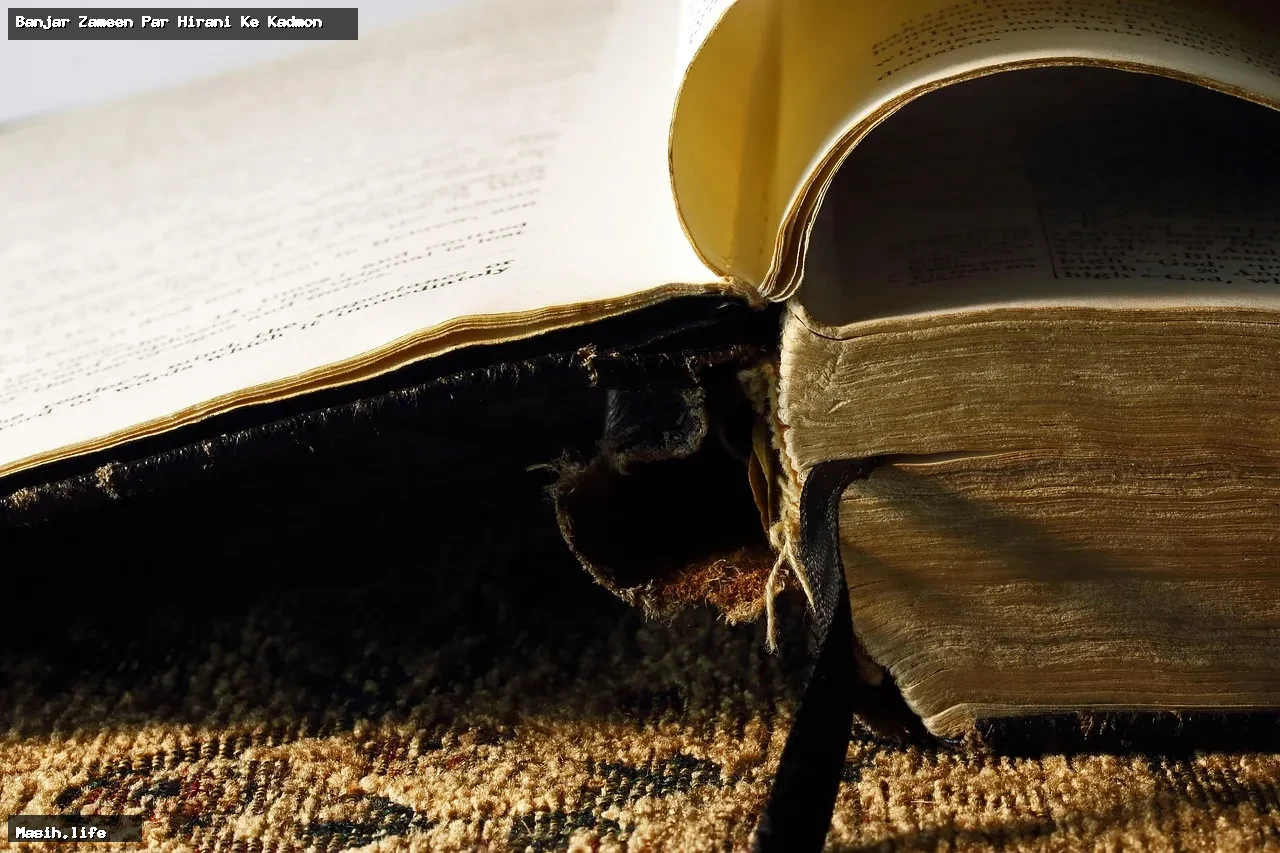 banjar zameen par hirani ke kadmon banjar zameen par hirani ke kadmon