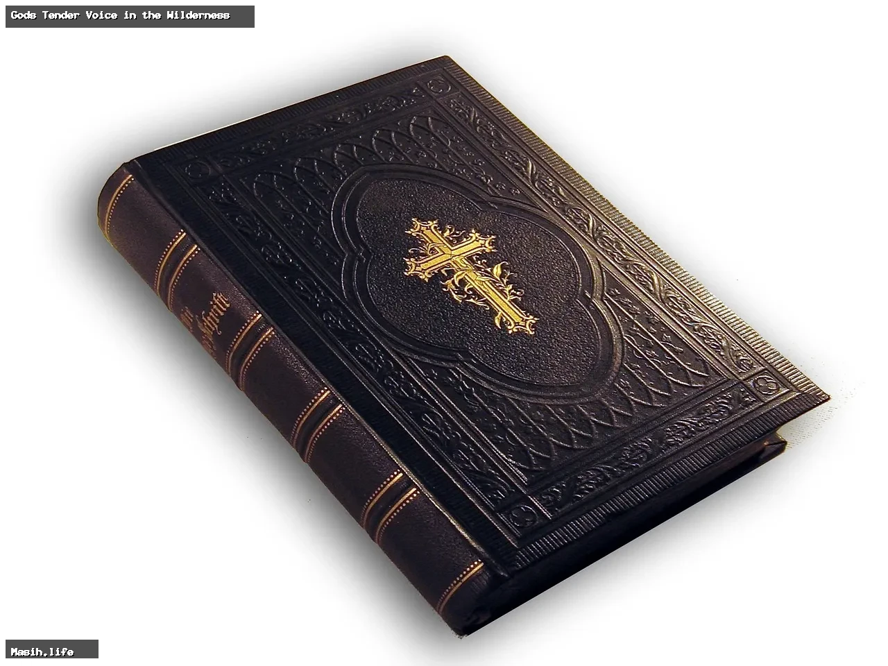 gods tender voice in the wilderness gods tender voice in the wilderness