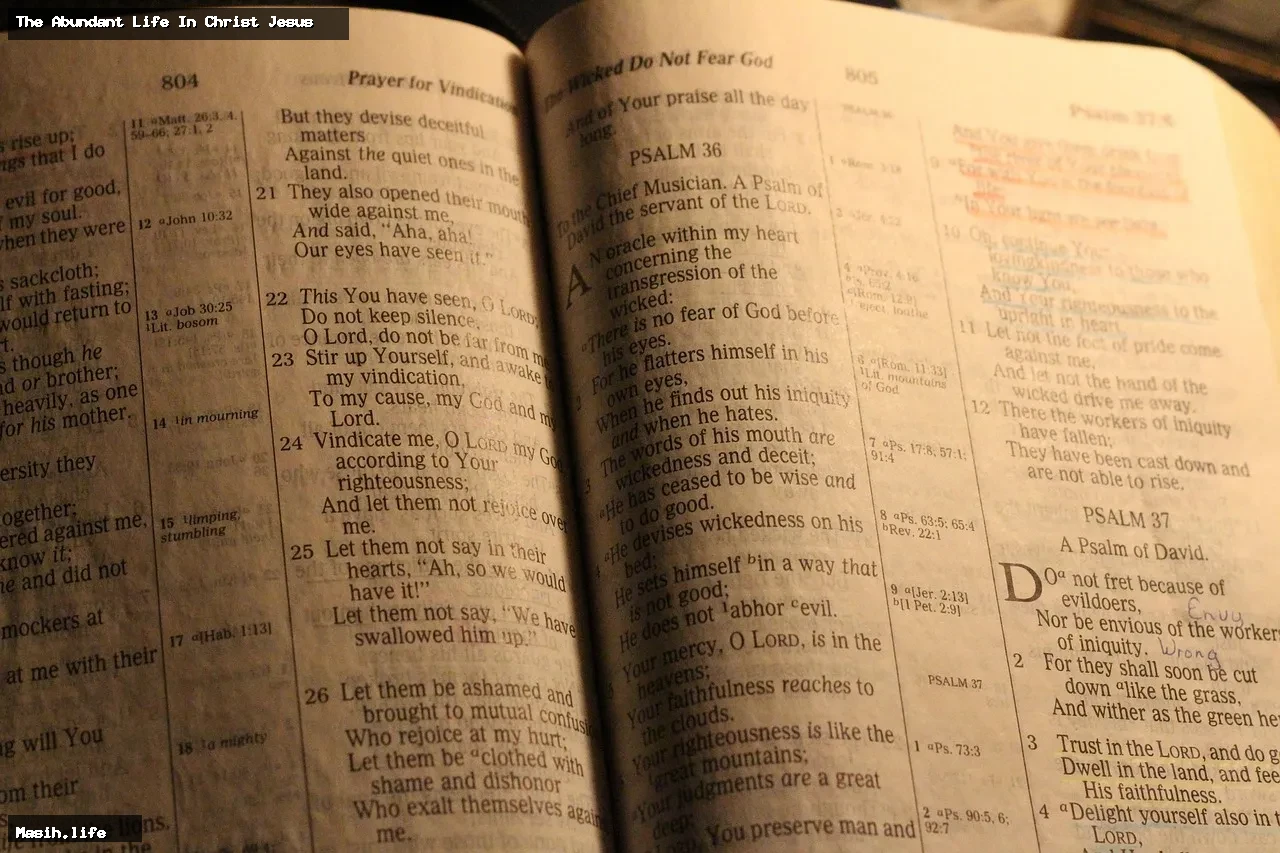 the abundant life in christ jesus the abundant life in christ jesus