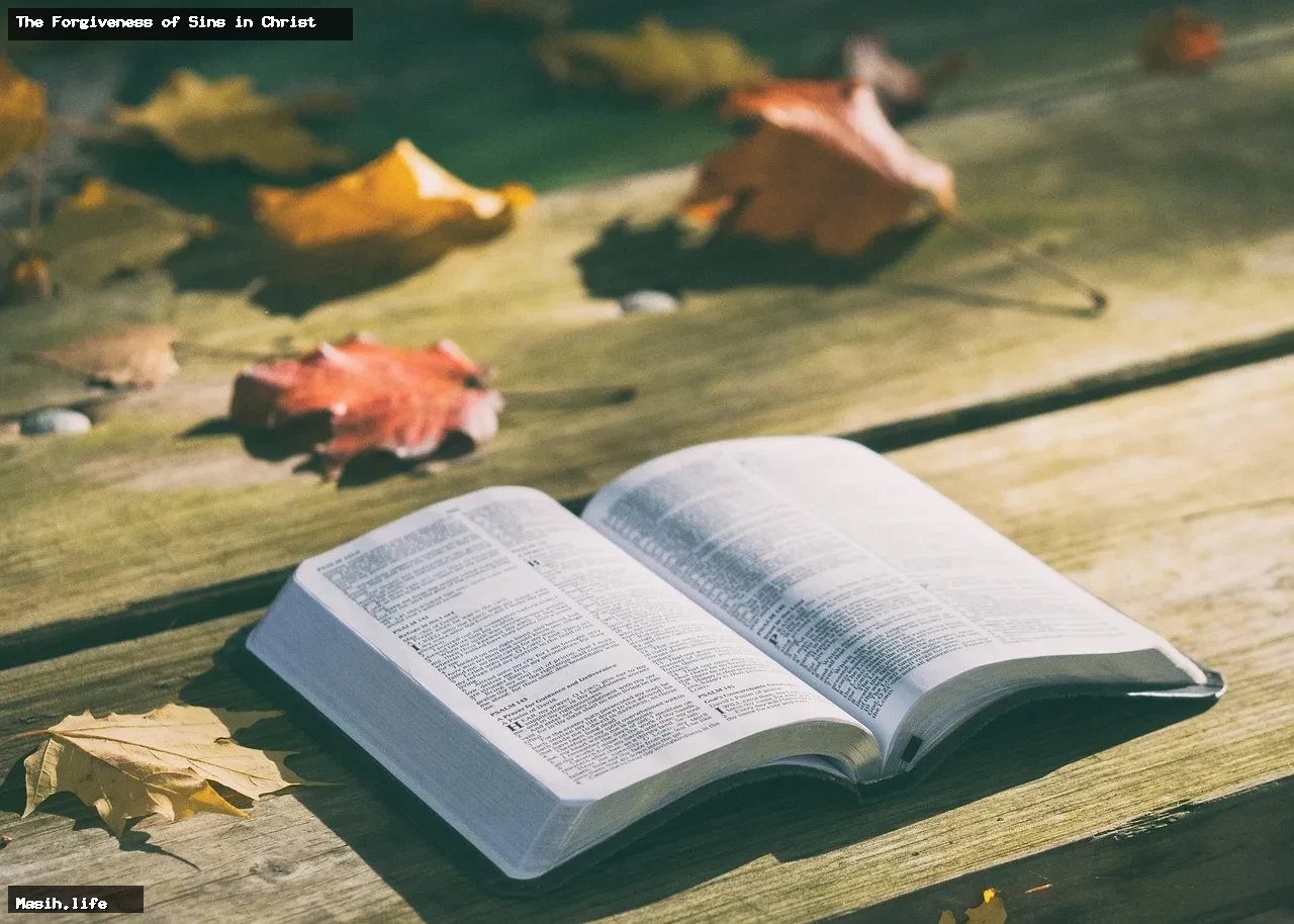 the forgiveness of sins in christ the forgiveness of sins in christ