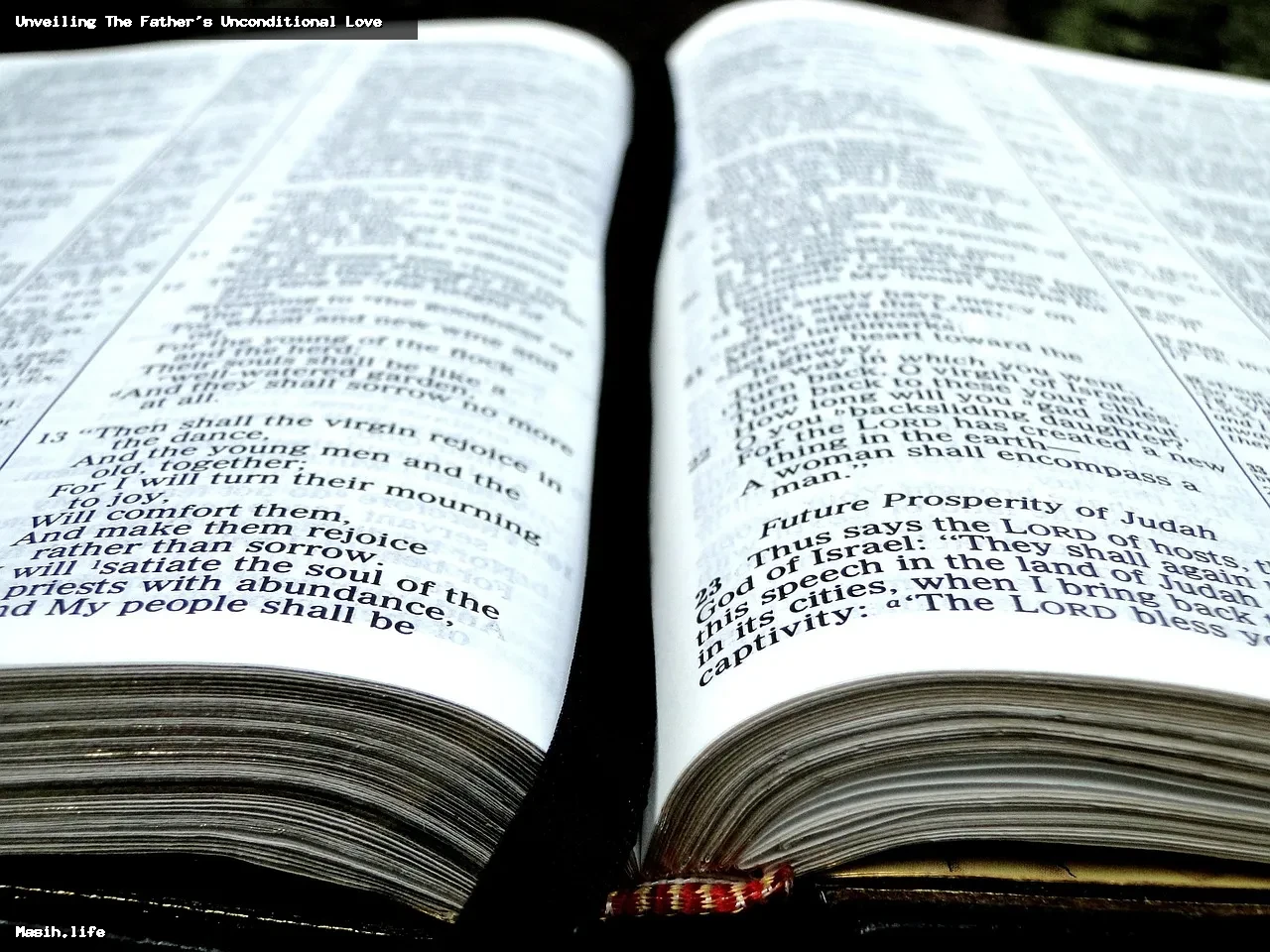 unveiling the father's unconditional love unveiling the father's unconditional love