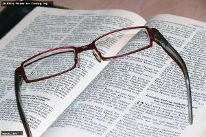 20 bible verses for finding joy