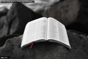 50 bible verses about/on patience and perseverance