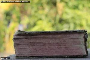 30 bible verses about kshama aur mel milap